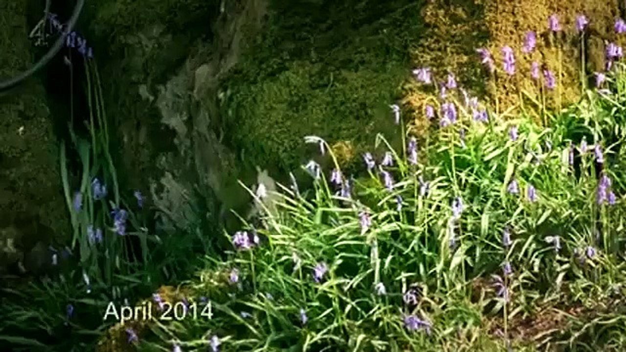 Grand Designs - Se14 - Ep04 HD Watch