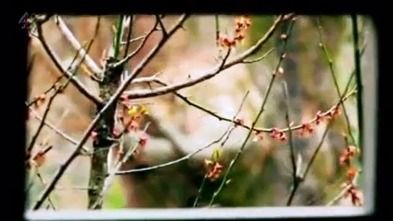 Grand Designs - Se14 - Ep09 HD Watch