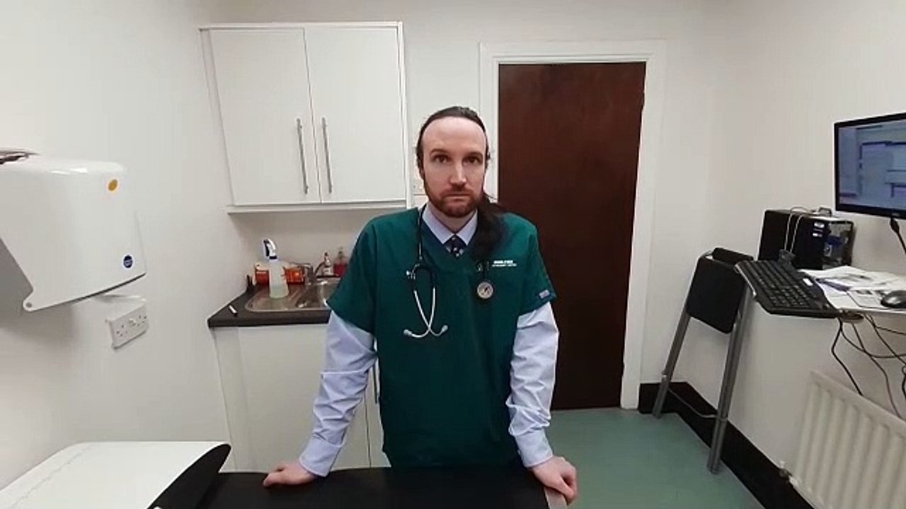 Watch as Sunderland vet explains everything you need to know about parvovirus and how you can keep your dog safe