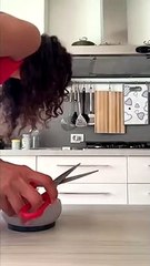 Kitten Doesn't Quite Make Jump