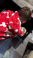 Hedgehog Rescued From the Cold