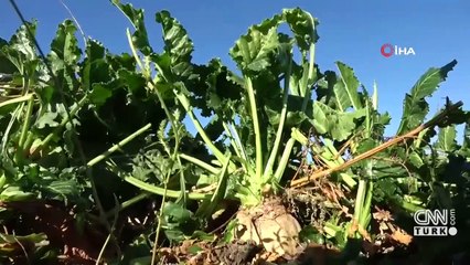 Tarımda kuraklık tehlikesi artıyor