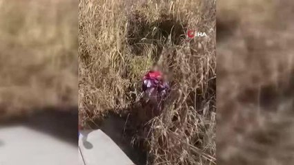 Rio Grande Nehri'nde mahsur kalan 3 küçük çocuk kurtarıldı