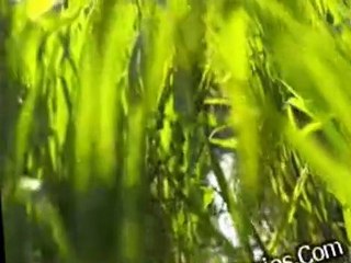Resurrection S01 E01