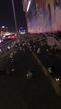 Ici les chiens ne sont pas autorisés