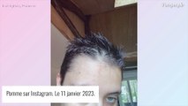 Pomme insultée depuis qu'elle a changé de coupe de cheveux, elle s'insurge : 