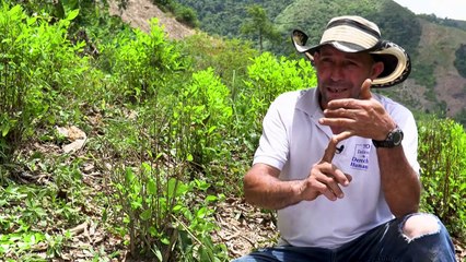 "Carmito", el rostro de los campesinos cocaleros perseguidos en Colombia