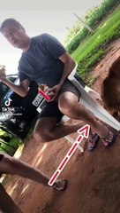 Cachorro cava buraco até derrubar homem da cadeira e vídeo viraliza