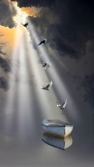 Commemoration of the birthday anniversary of the lady of Paradise (pbuh).