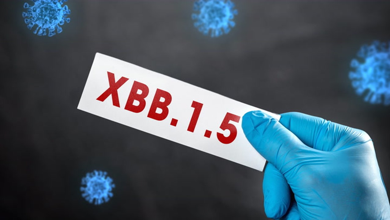 Neue Corona-Variante: XBB.1.5 breitet sich aus