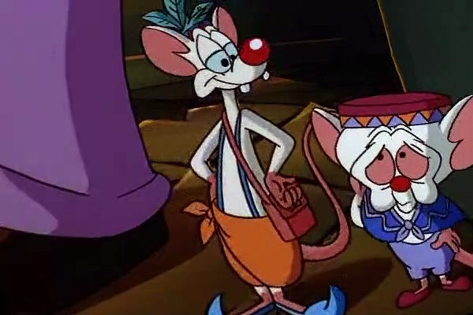 Pinky And The Brain Videos