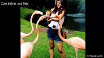 Funny Animals Scarring And Chasing People 2021 Compilation #animals