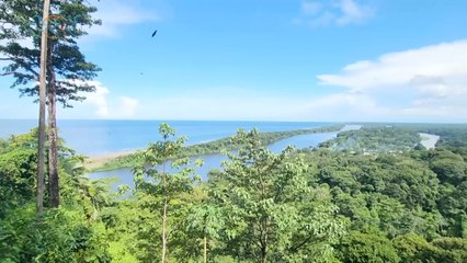 mqn'Viajamos al Parque Nacional hogar de cuatro tipos de tortugas-120123