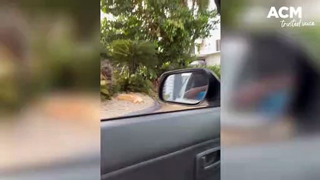 'Leave your weapons inside' - Police arrest man in posh NT suburb | January 13, 2023 | Katherine Times