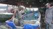 Nigeria: Boats as an eco alternative to traffic jams