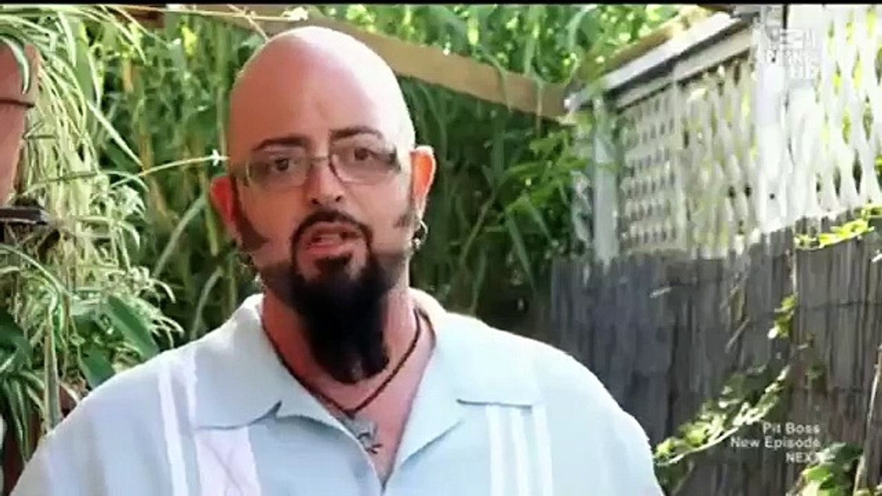 My Cat from Hell - Se2 - Ep03 - On the War Path HD Watch