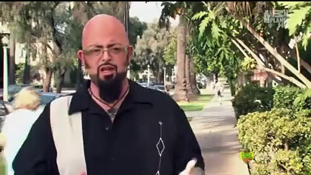 My Cat from Hell - Se2 - Ep05 - Cat Fight! HD Watch