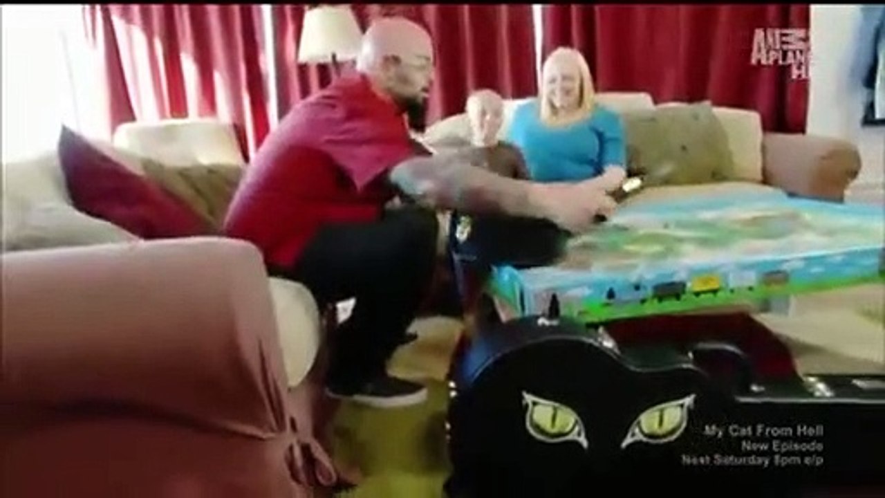 My Cat from Hell - Se3 - Ep02 - My Cat or My Family HD Watch