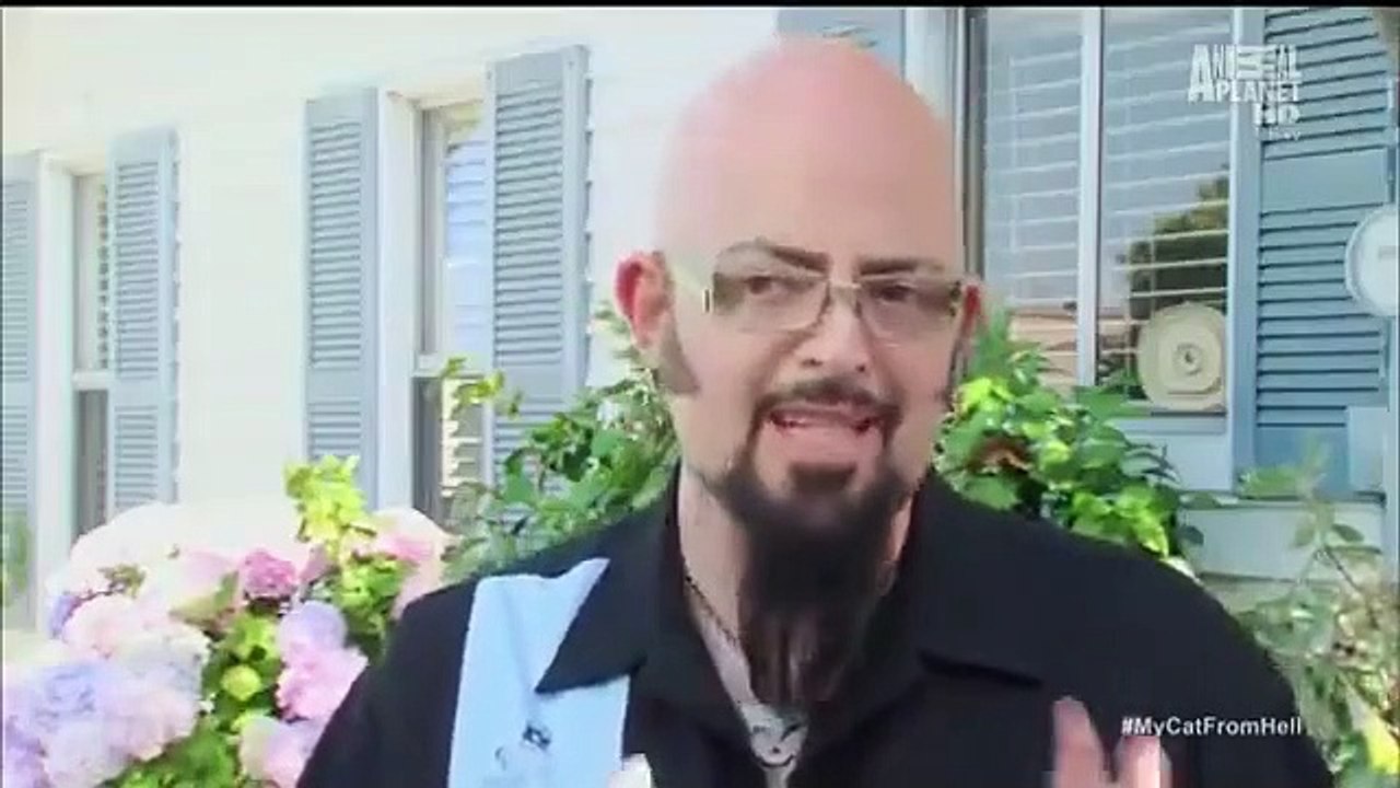 My Cat from Hell - Se3 - Ep03 - Kitty Dearest HD Watch