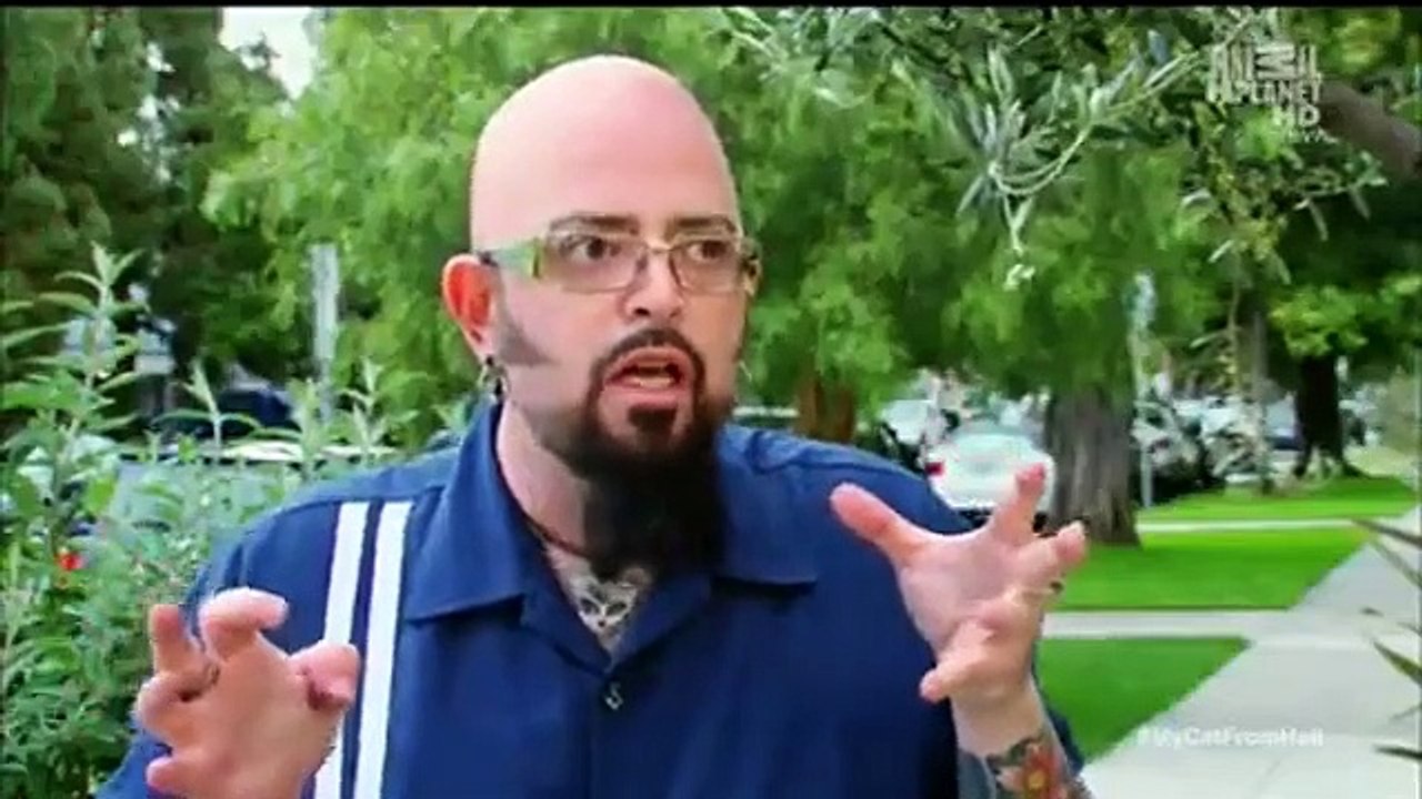 My Cat from Hell Se3 Ep05 Roscoe the Menace HD Watch video