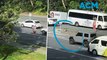 Man stops traffic to escort koala safely across busy highway