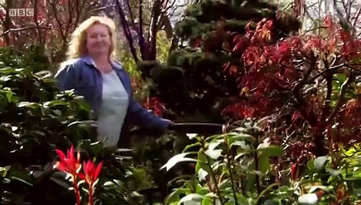 Garden Rescue - Se4 - Ep13 - Petersfield HD Watch