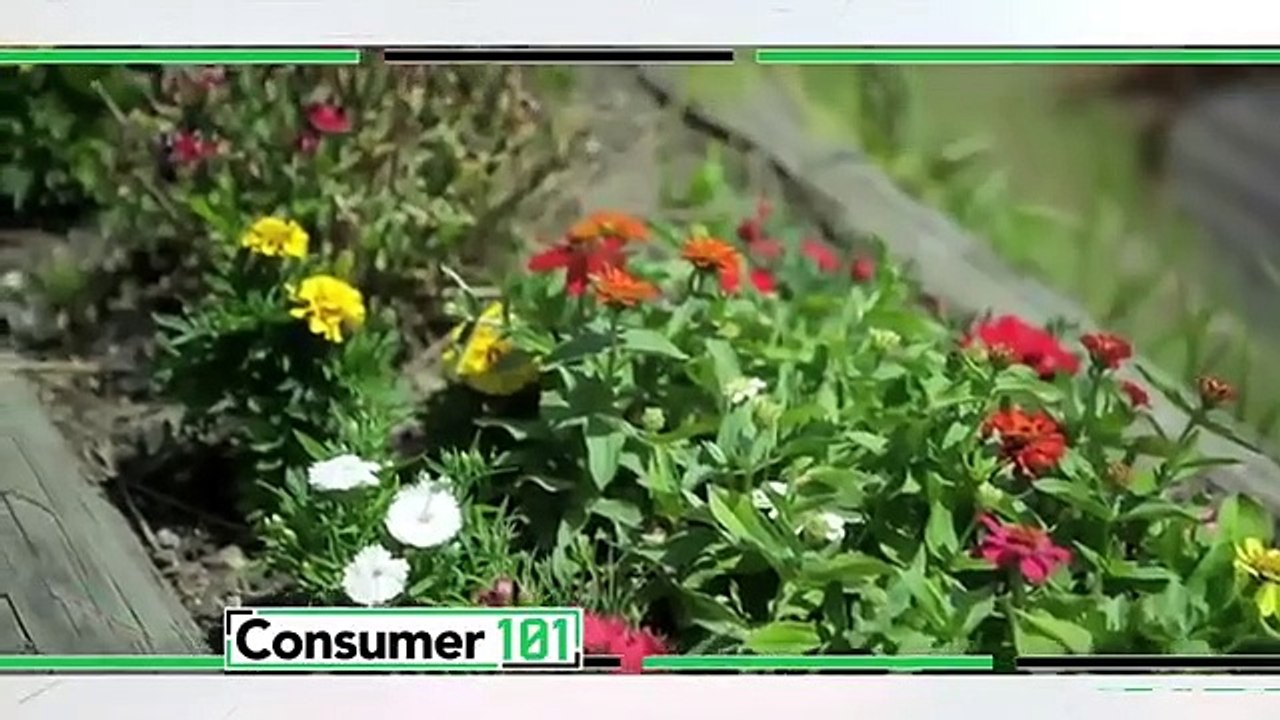 Consumer 101 - Se2 - Ep20 - Electric Past is Present HD Watch