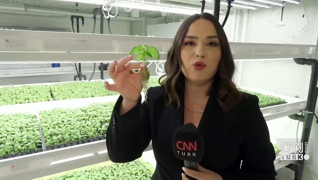 Eksi 8'inci katta güneşsiz, topraksız tarım