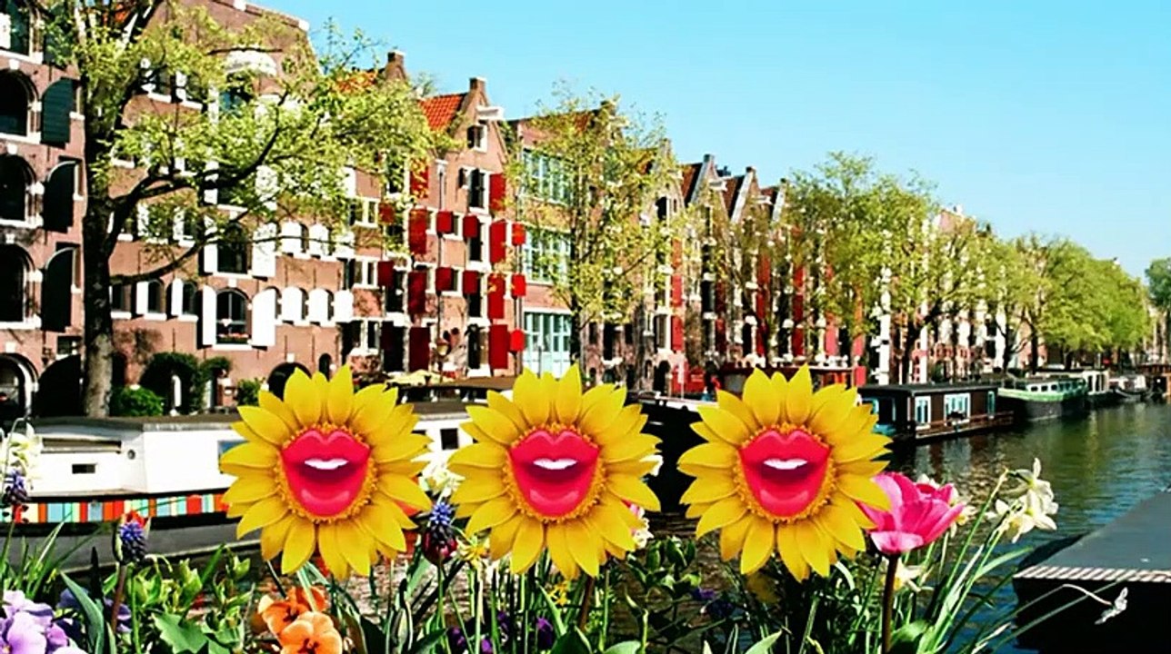 The Hollywood Puppet Show - Se1 - Ep03 HD Watch