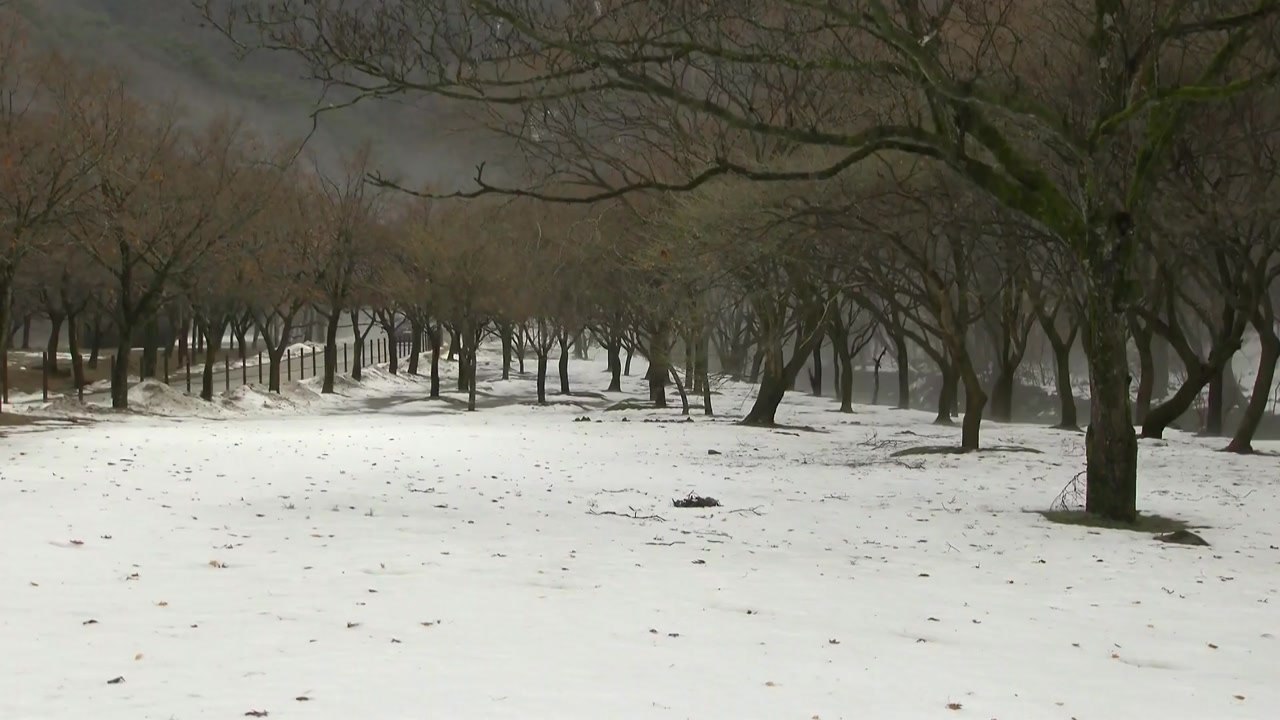 [날씨] 겨울비 내리며 남부 가뭄 해갈...얼음 축제는 일요일부터 / YTN