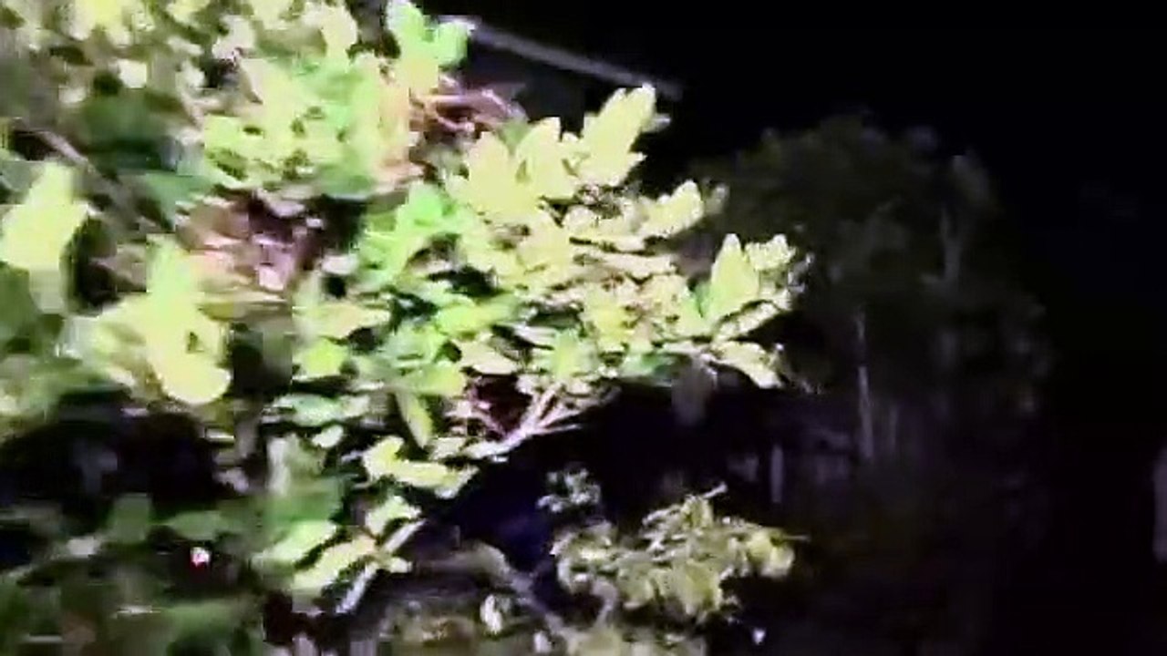 Mur-'der House Flip - Se1 - Ep07 - Frederick Hengl House - Part 1 HD Watch