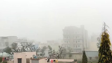 Weather News : प्रदेश में घना कोहरा, गलन ने बढ़ाई ठिठुरन, दोपहर तक दुबका रहा सूरज