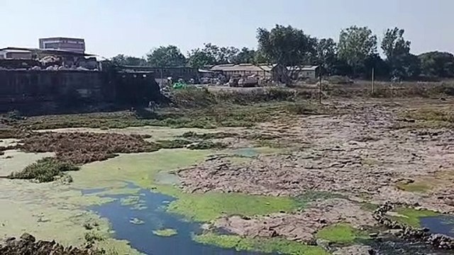 Video Story : Illegal garages and factories opened in the green zone of Abna river