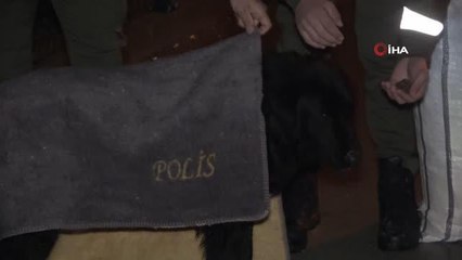 Uşak polisi yağmurlu havada sokak canlılarını unutmadı