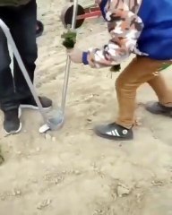 Innovative Planting Device #shorts #viral #shortsvideo #video #innovationhub