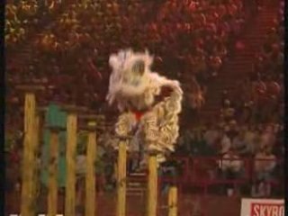 20eme festival des Arts Martiaux