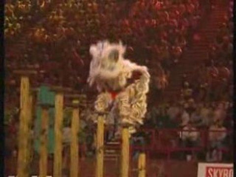 20eme festival des Arts Martiaux