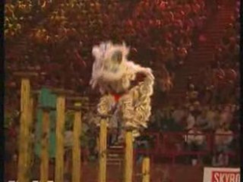 20eme festival des Arts Martiaux