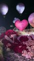 Bạn gái tốt nghiệp, soái ca dùng 1 triệu bông hồng để cầu hôn: Lãng mạn tựa chuyện cổ tích