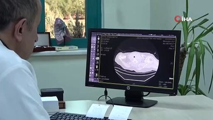 Profesörden sömestr tatili için dikkat çeken açıklama