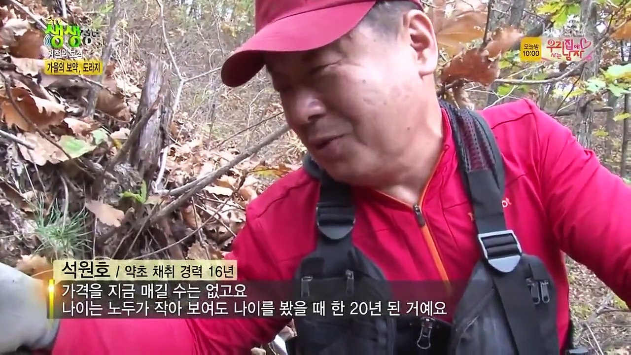 Live Info Show 2 - Ep92 HD Watch