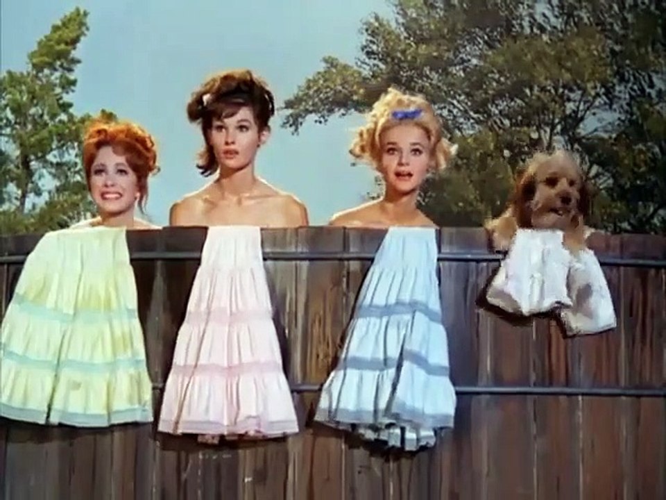 Petticoat Junction - Se3 - Ep04 HD Watch