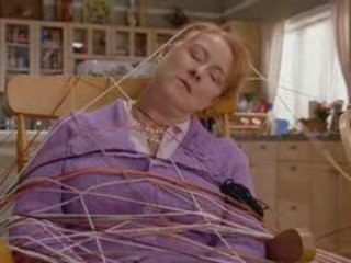 5 Toutous prets a tout !