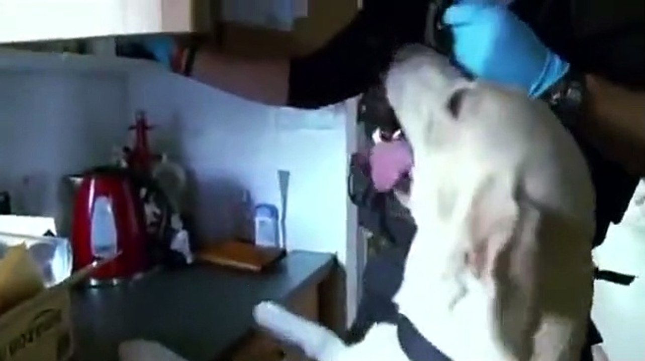 Police Interceptors - Se8 - Ep01 HD Watch