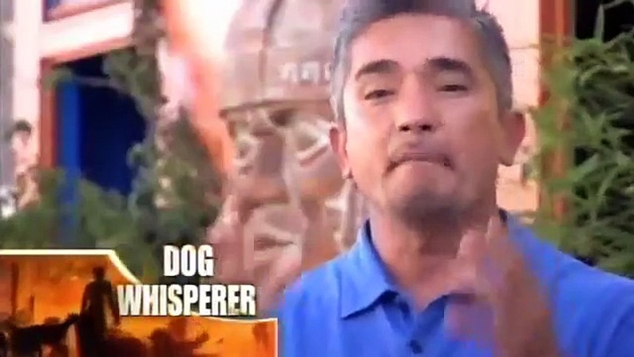 Dog Whisperer with Cesar Millan - Se2 - Ep05 HD Watch