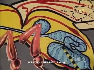 Beakman's World - Se1 - Ep24 HD Watch