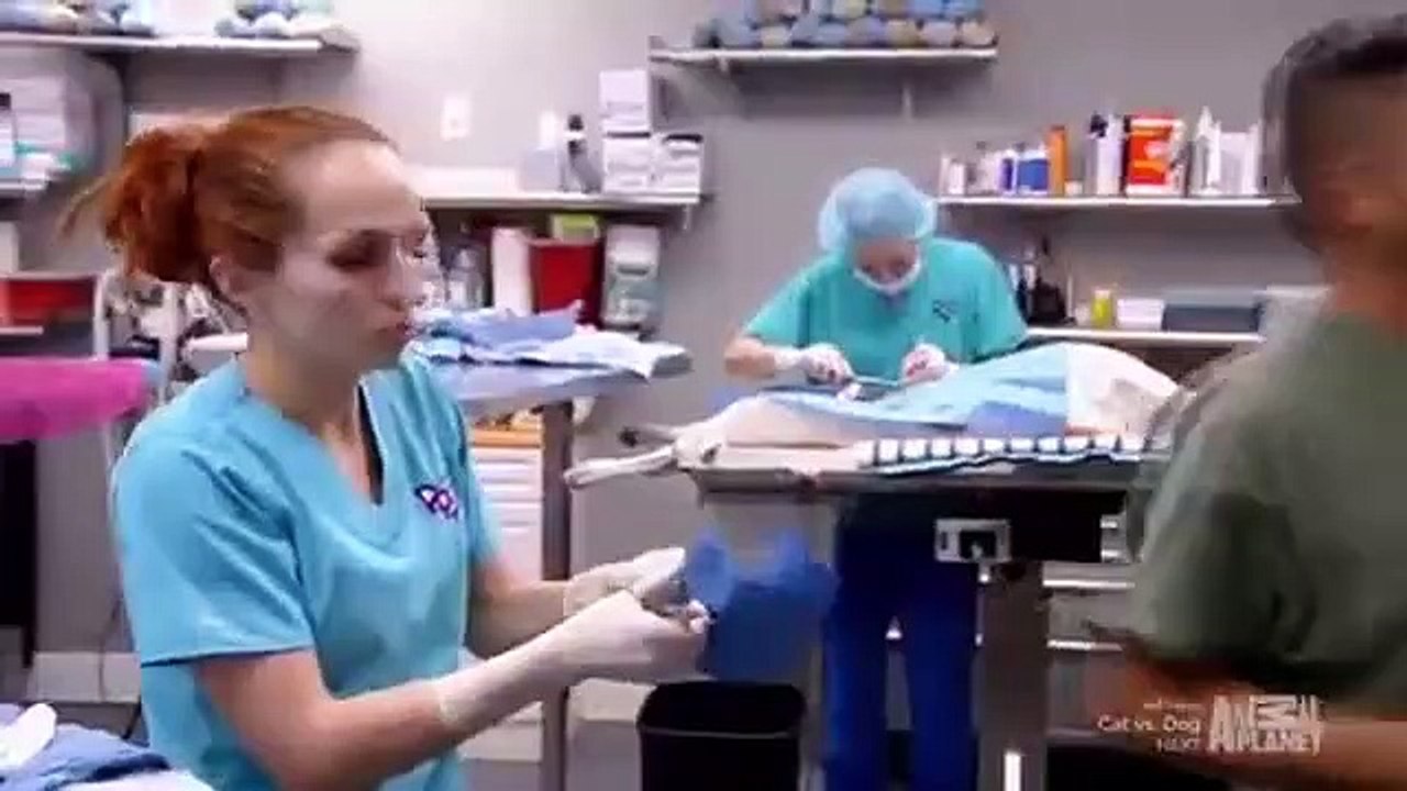 Dr. Jeff - Rocky Mountain Vet - Se4 - Ep10 HD Watch