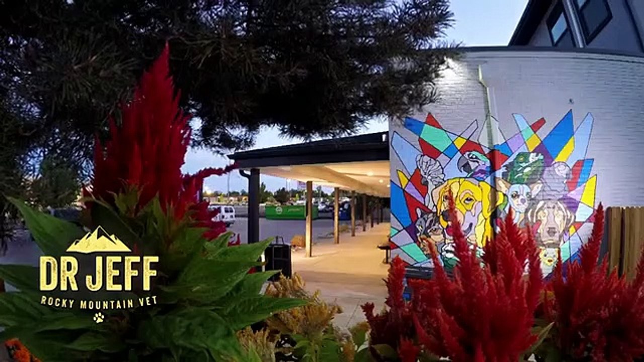 Dr. Jeff - Rocky Mountain Vet - Se6 - Ep04 HD Watch