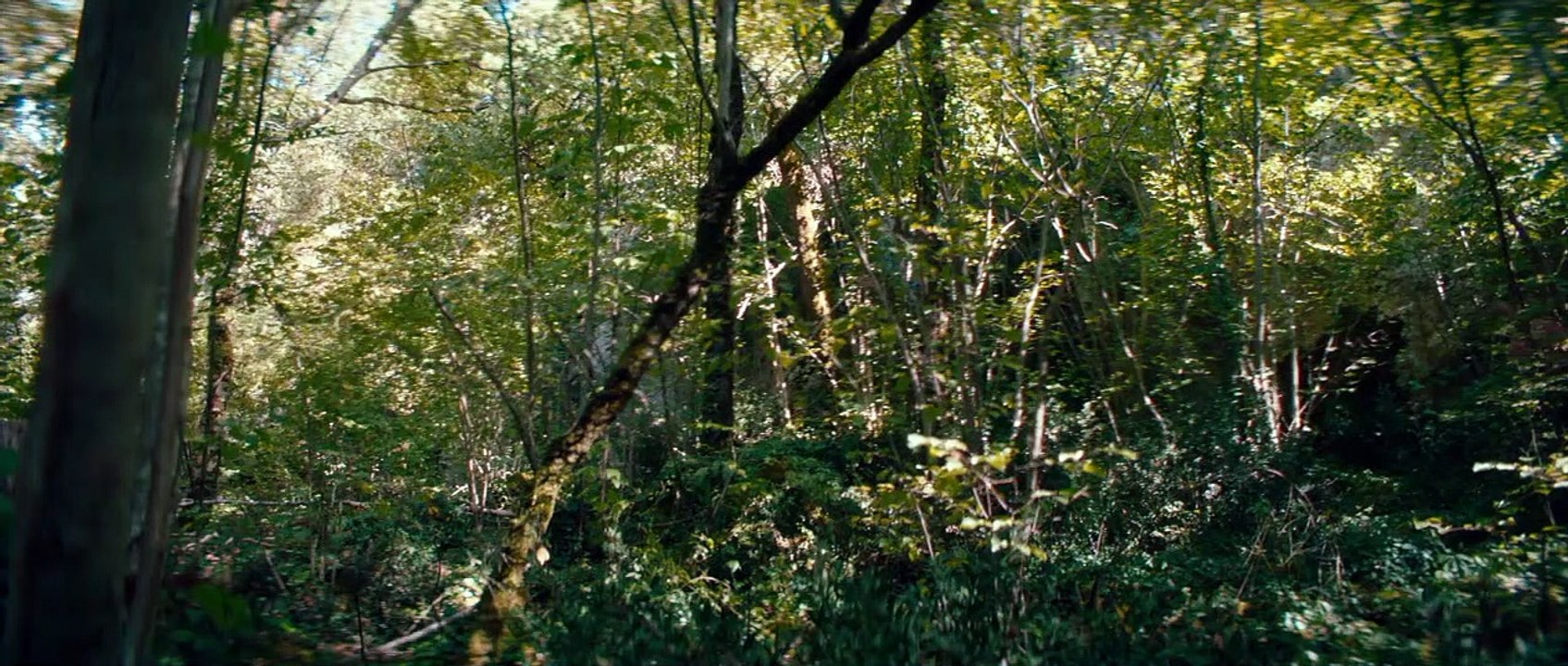 Auf dass die Bestie sich erhebe Trailer OV