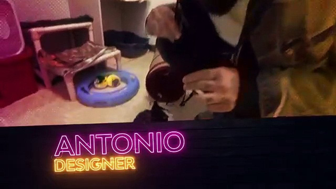 Animal Cribs Se2 Ep01 Dog Town, USA HD Watch video Dailymotion